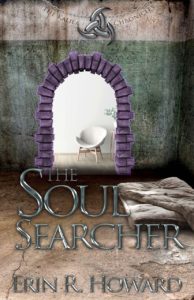 The Soul Searcher Book