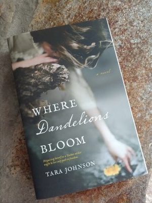 Where Dandelions Bloom Book Cover